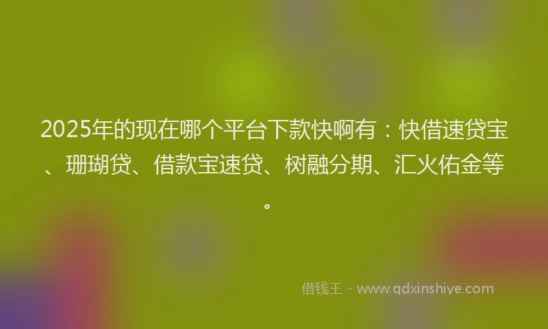 2025年的现在哪个平台下款快啊有：快借速贷宝、珊瑚贷、借款宝速贷、树融分期、汇火佑金等。