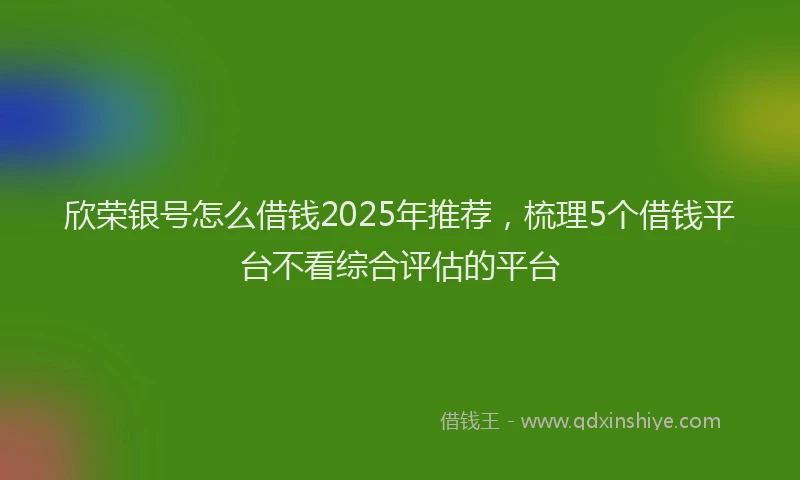欣荣银号怎么借钱2025年推荐，梳理5个借钱平台不看综合评估的平台