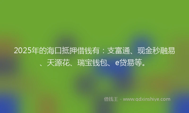 2025年的海口抵押借钱有：支富通、现金秒融易、天源花、瑞宝钱包、e贷易等。