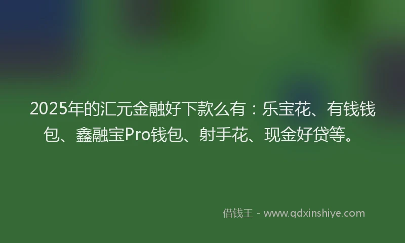 2025年的汇元金融好下款么有：乐宝花、有钱钱包、鑫融宝Pro钱包、射手花、现金好贷等。