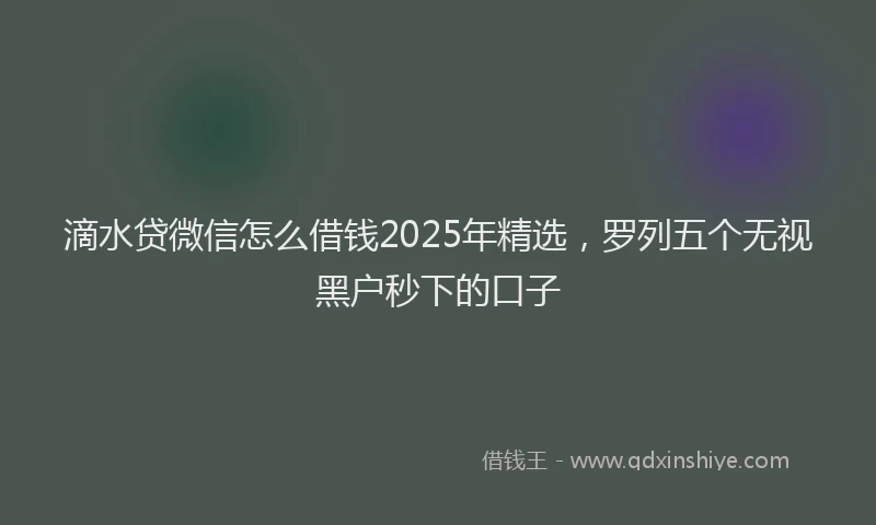 滴水贷微信怎么借钱2025年精选，罗列五个无视黑户秒下的口子