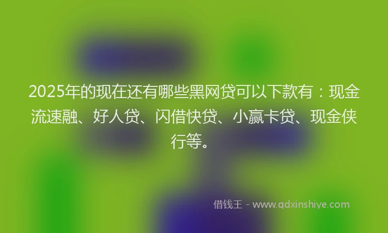 2025年的现在还有哪些黑网贷可以下款有：现金流速融、好人贷、闪借快贷、小赢卡贷、现金侠行等。
