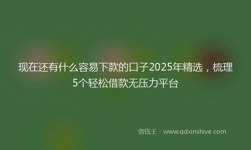 现在还有什么容易下款的口子2025年精选，梳理5个轻松借款无压力平台