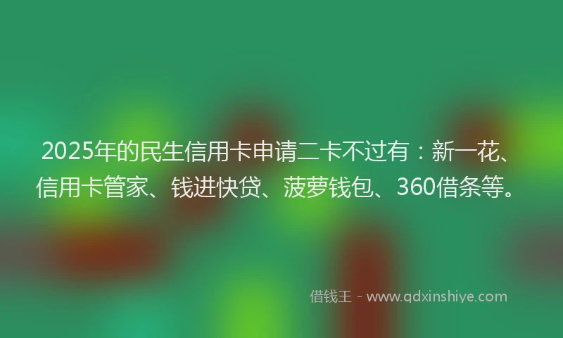 2025年的民生信用卡申请二卡不过有：新一花、信用卡管家、钱进快贷、菠萝钱包、360借条等。