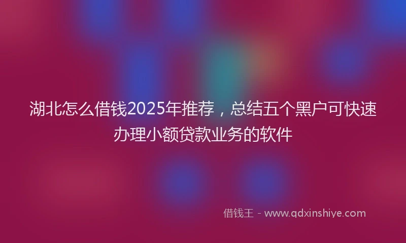 湖北怎么借钱2025年推荐，总结五个黑户可快速办理小额贷款业务的软件