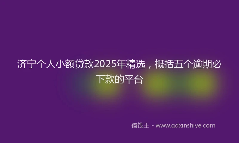济宁个人小额贷款2025年精选，概括五个逾期必下款的平台