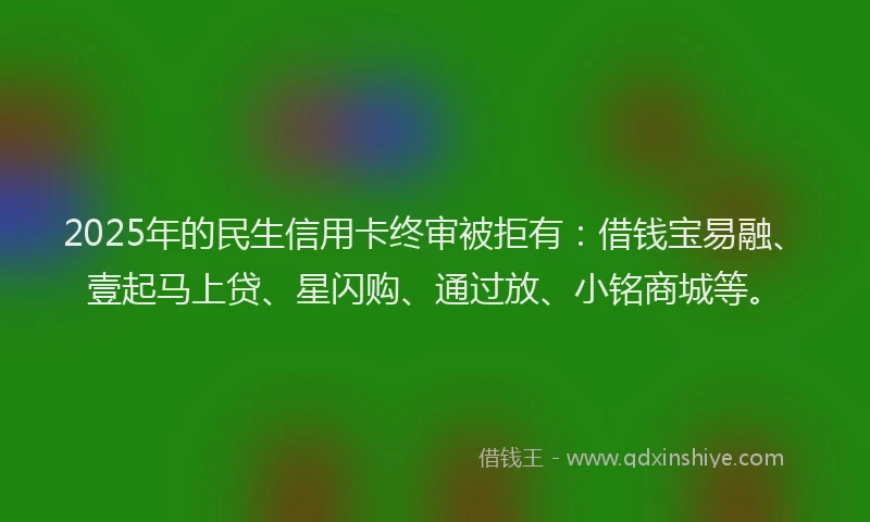 2025年的民生信用卡终审被拒有：借钱宝易融、壹起马上贷、星闪购、通过放、小铭商城等。
