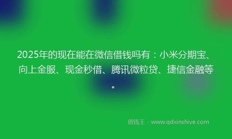 2025年的现在能在微信借钱吗有：小米分期宝、向上金服、现金秒借、腾讯微粒贷、捷信金融等。