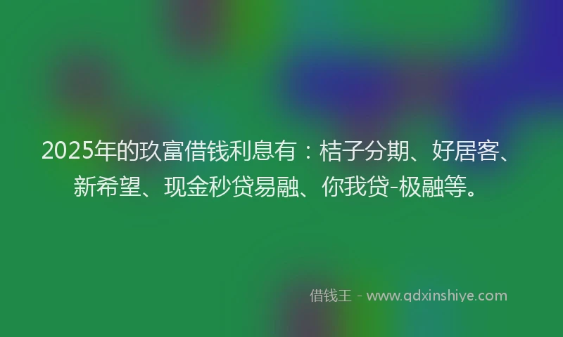 2025年的玖富借钱利息有：桔子分期、好居客、新希望、现金秒贷易融、你我贷-极融等。