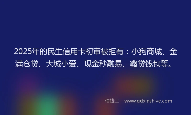 2025年的民生信用卡初审被拒有：小狗商城、金满仓贷、大城小爱、现金秒融易、鑫贷钱包等。