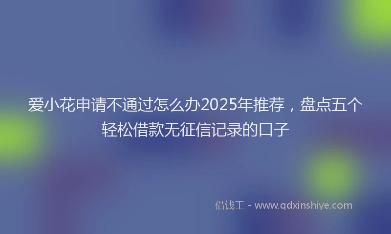 爱小花申请不通过怎么办2025年推荐，盘点五个轻松借款无征信记录的口子
