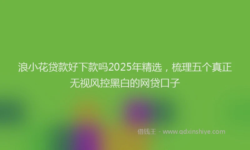 浪小花贷款好下款吗2025年精选，梳理五个真正无视风控黑白的网贷口子