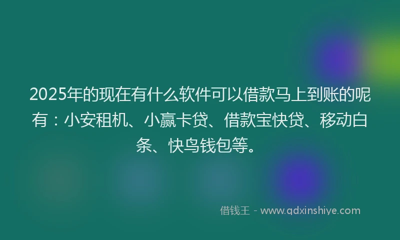 2025年的现在有什么软件可以借款马上到账的呢有：小安租机、小赢卡贷、借款宝快贷、移动白条、快鸟钱包等。