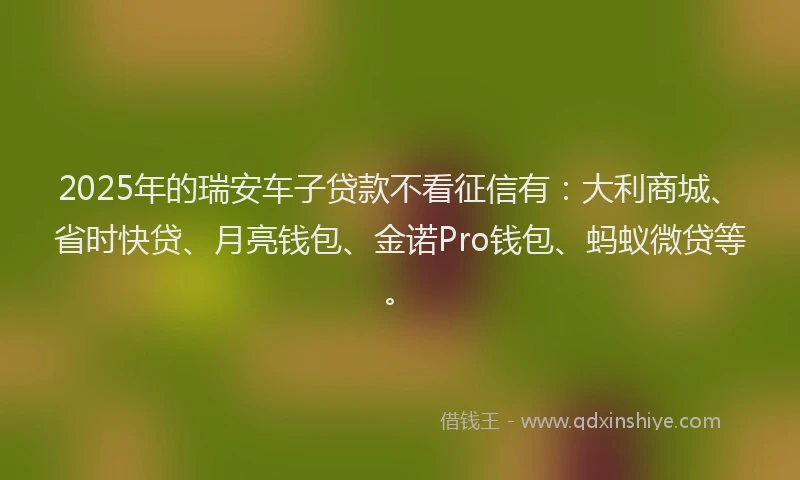 2025年的瑞安车子贷款不看征信有：大利商城、省时快贷、月亮钱包、金诺Pro钱包、蚂蚁微贷等。
