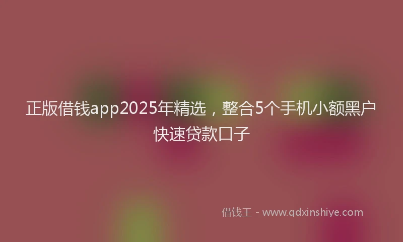 正版借钱app2025年精选，整合5个手机小额黑户快速贷款口子