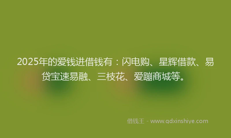 2025年的爱钱进借钱有：闪电购、星辉借款、易贷宝速易融、三枝花、爱蹦商城等。