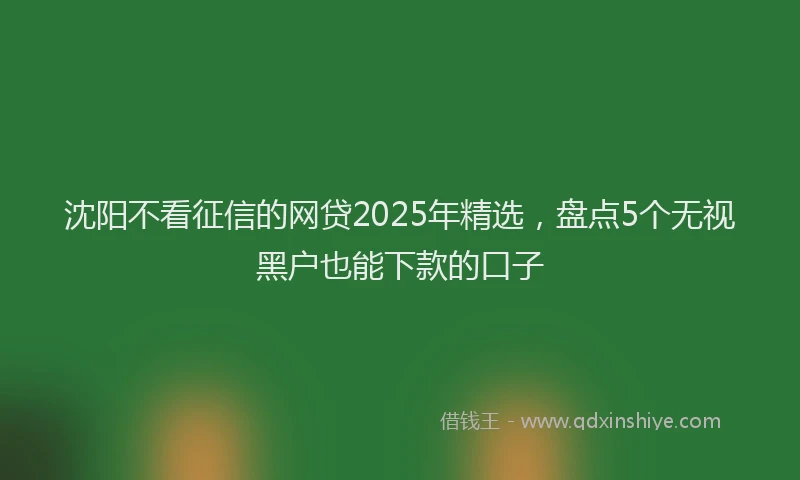 沈阳不看征信的网贷2025年精选，盘点5个无视黑户也能下款的口子