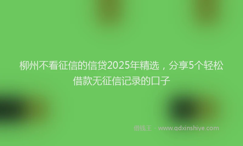 柳州不看征信的信贷2025年精选，分享5个轻松借款无征信记录的口子