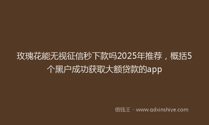 玫瑰花能无视征信秒下款吗2025年推荐，概括5个黑户成功获取大额贷款的app