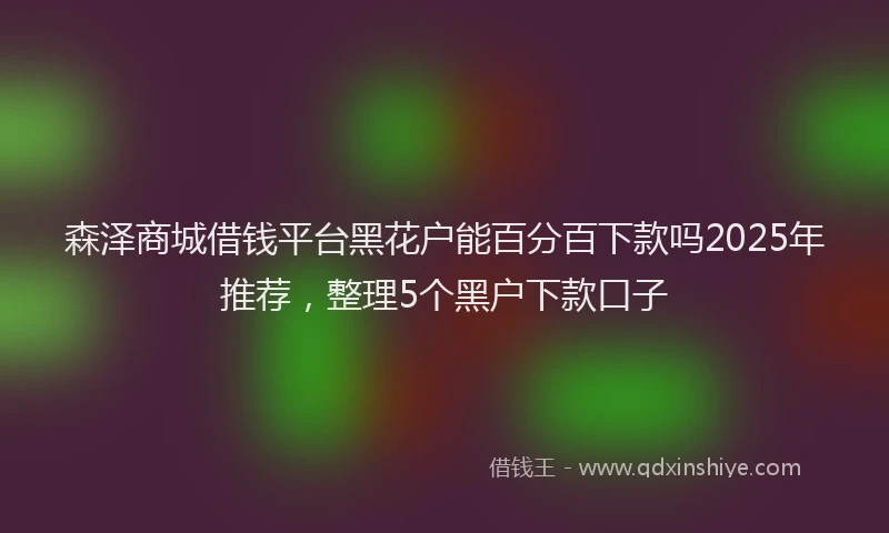 森泽商城借钱平台黑花户能百分百下款吗2025年推荐，整理5个黑户下款口子
