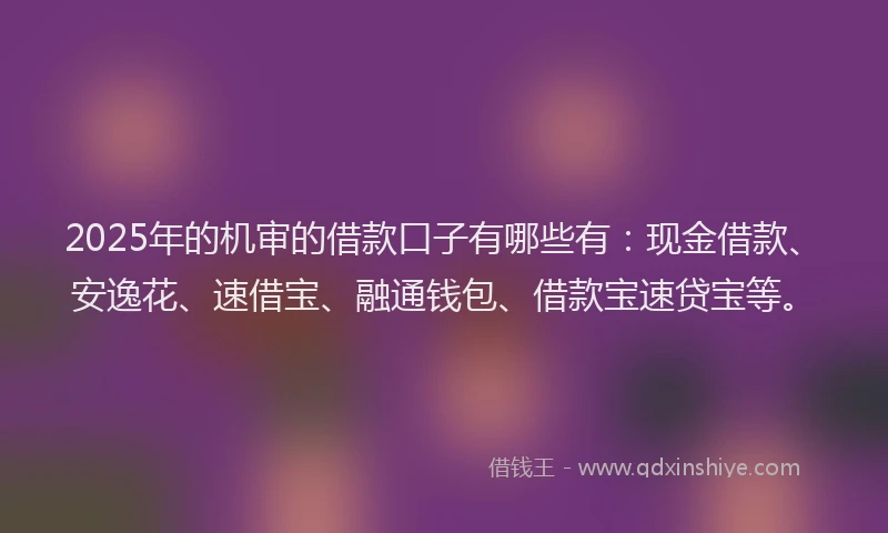 2025年的机审的借款口子有哪些有：现金借款、安逸花、速借宝、融通钱包、借款宝速贷宝等。