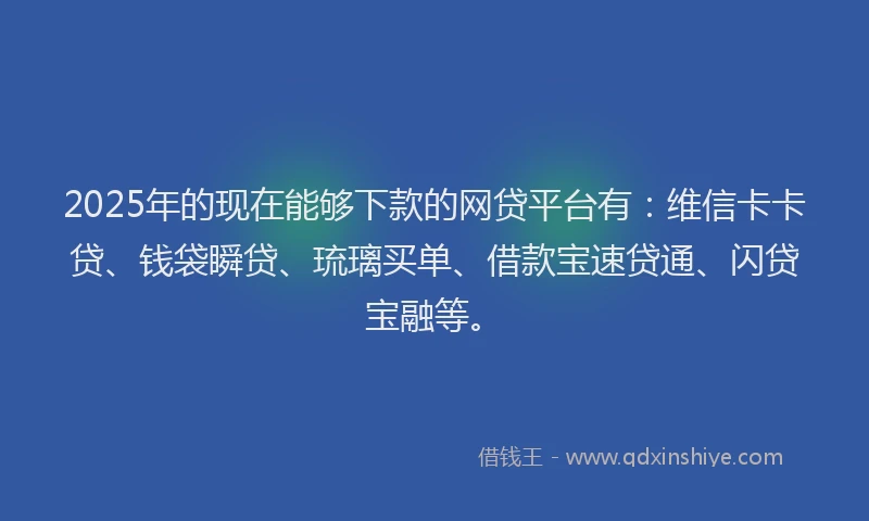 2025年的现在能够下款的网贷平台有：维信卡卡贷、钱袋瞬贷、琉璃买单、借款宝速贷通、闪贷宝融等。