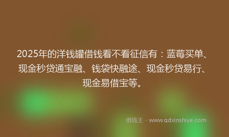 2025年的洋钱罐借钱看不看征信有：蓝莓买单、现金秒贷通宝融、钱袋快融途、现金秒贷易行、现金易借宝等。
