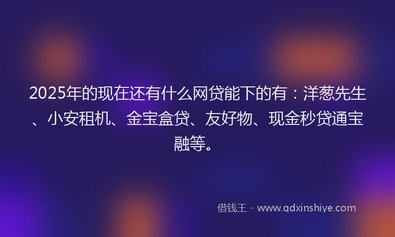 2025年的现在还有什么网贷能下的有：洋葱先生、小安租机、金宝盒贷、友好物、现金秒贷通宝融等。