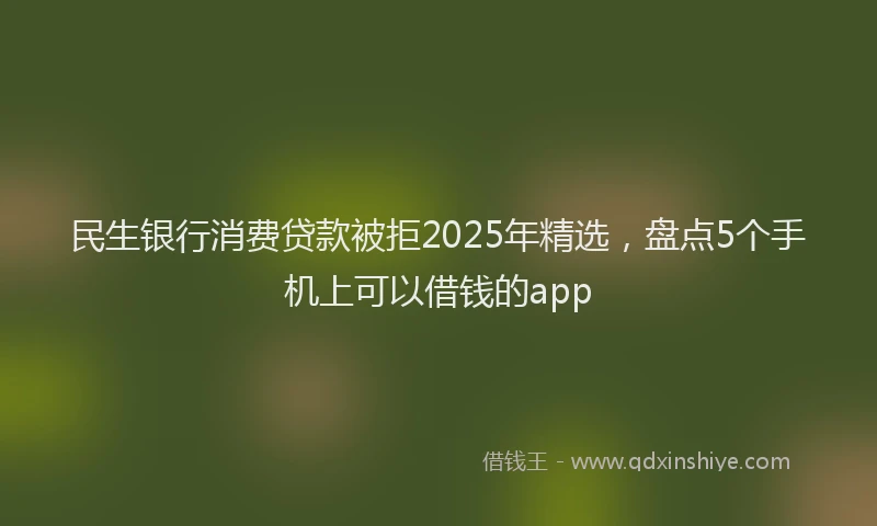 民生银行消费贷款被拒2025年精选，盘点5个手机上可以借钱的app