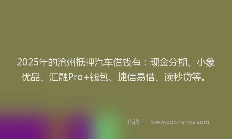 2025年的沧州抵押汽车借钱有：现金分期、小象优品、汇融Pro+钱包、捷信易借、读秒贷等。
