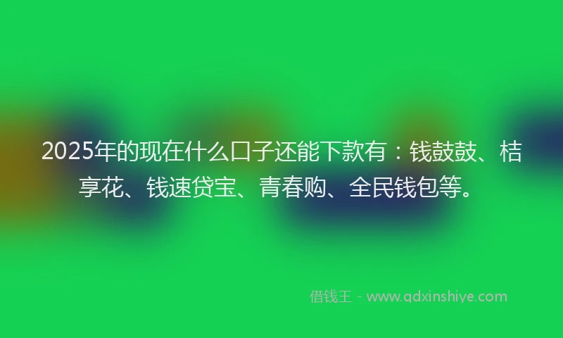2025年的现在什么口子还能下款有：钱鼓鼓、桔享花、钱速贷宝、青春购、全民钱包等。