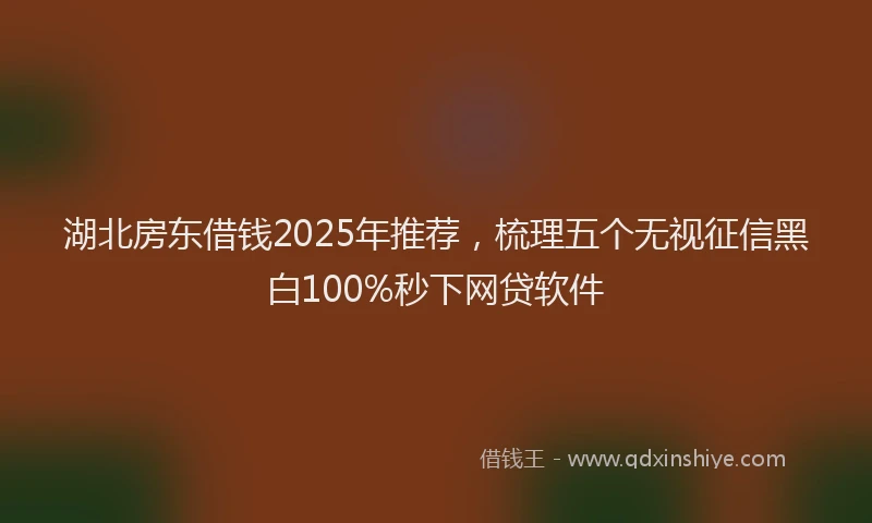 湖北房东借钱2025年推荐，梳理五个无视征信黑白100%秒下网贷软件
