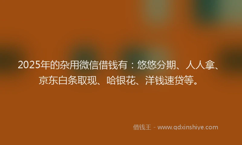 2025年的杂用微信借钱有：悠悠分期、人人拿、京东白条取现、哈银花、洋钱速贷等。