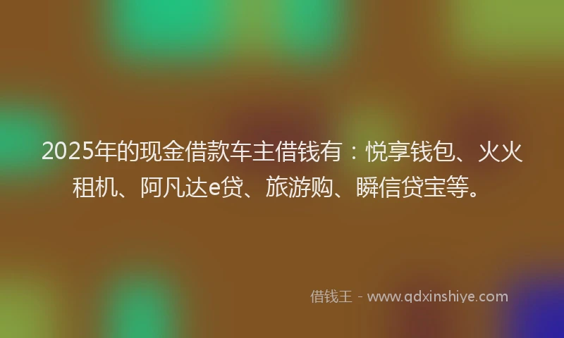 2025年的现金借款车主借钱有：悦享钱包、火火租机、阿凡达e贷、旅游购、瞬信贷宝等。