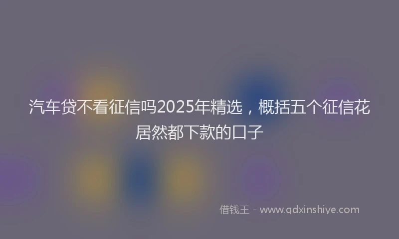 汽车贷不看征信吗2025年精选，概括五个征信花居然都下款的口子