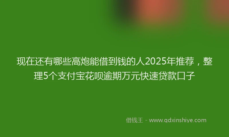 现在还有哪些高炮能借到钱的人2025年推荐，整理5个支付宝花呗逾期万元快速贷款口子