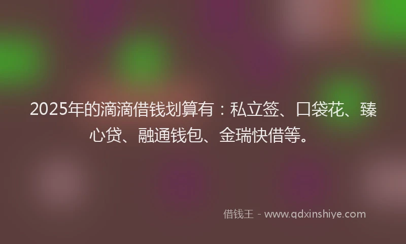 2025年的滴滴借钱划算有：私立签、口袋花、臻心贷、融通钱包、金瑞快借等。