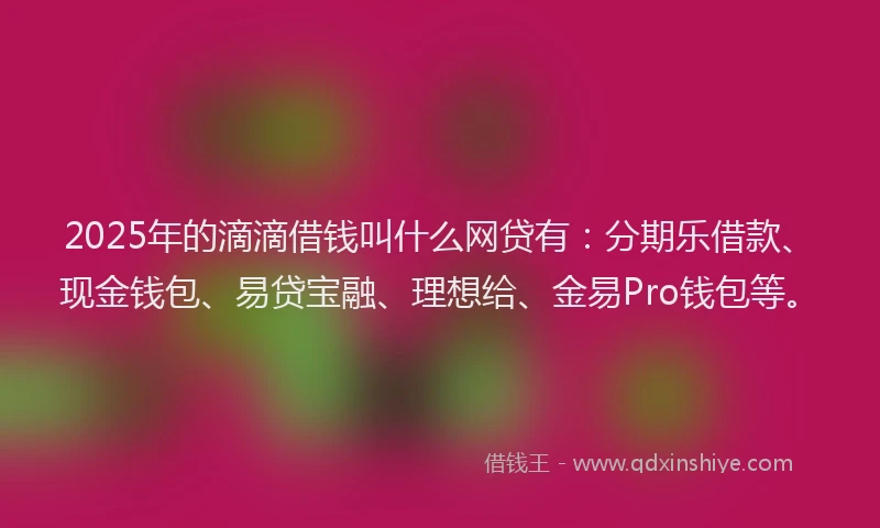2025年的滴滴借钱叫什么网贷有：分期乐借款、现金钱包、易贷宝融、理想给、金易Pro钱包等。