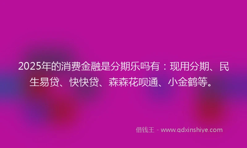 2025年的消费金融是分期乐吗有：现用分期、民生易贷、快快贷、森森花呗通、小金鹤等。