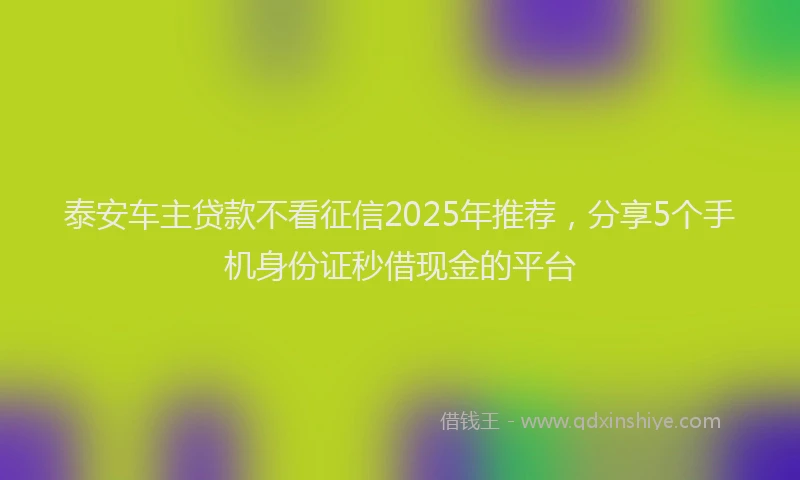 泰安车主贷款不看征信2025年推荐，分享5个手机身份证秒借现金的平台