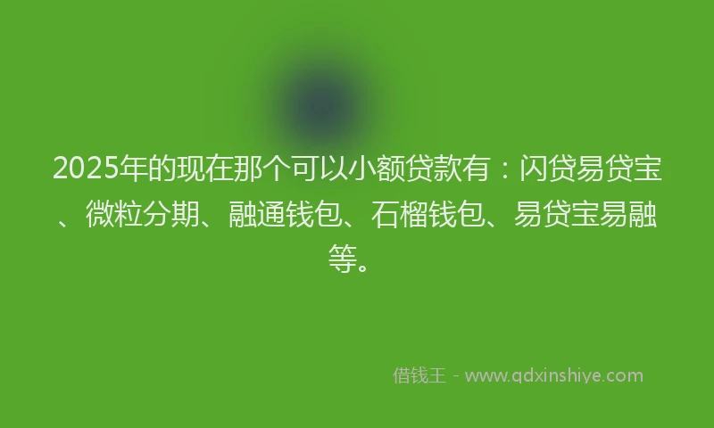 2025年的现在那个可以小额贷款有：闪贷易贷宝、微粒分期、融通钱包、石榴钱包、易贷宝易融等。