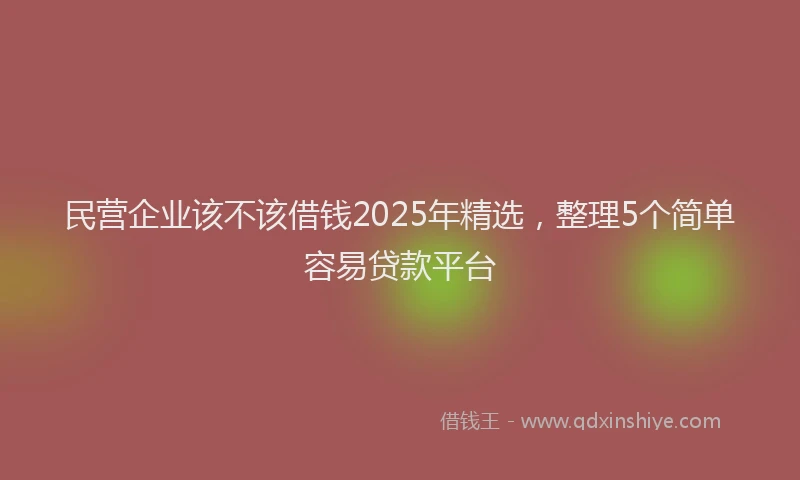 民营企业该不该借钱2025年精选，整理5个简单容易贷款平台
