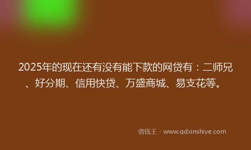 2025年的现在还有没有能下款的网贷有：二师兄、好分期、信用快贷、万盛商城、易支花等。
