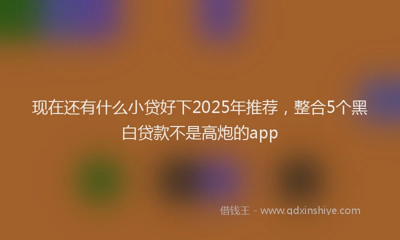 现在还有什么小贷好下2025年推荐，整合5个黑白贷款不是高炮的app