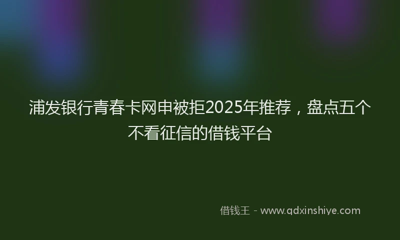 浦发银行青春卡网申被拒2025年推荐，盘点五个不看征信的借钱平台