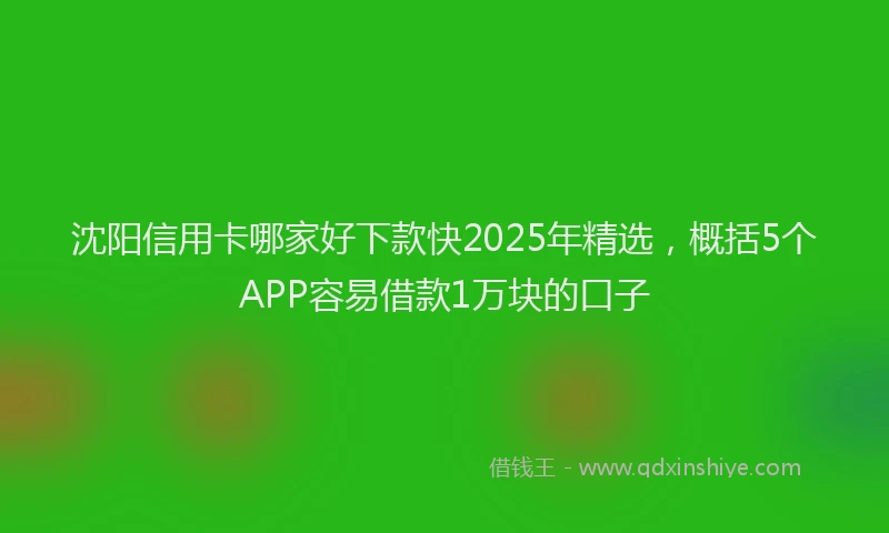沈阳信用卡哪家好下款快2025年精选，概括5个APP容易借款1万块的口子