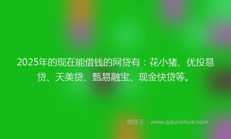 2025年的现在能借钱的网贷有：花小猪、优投易贷、天美贷、甄易融宝、现金快贷等。