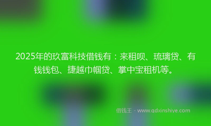 2025年的玖富科技借钱有：来租呗、琉璃贷、有钱钱包、捷越巾帼贷、掌中宝租机等。