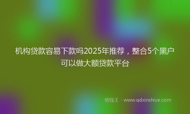 机构贷款容易下款吗2025年推荐，整合5个黑户可以做大额贷款平台