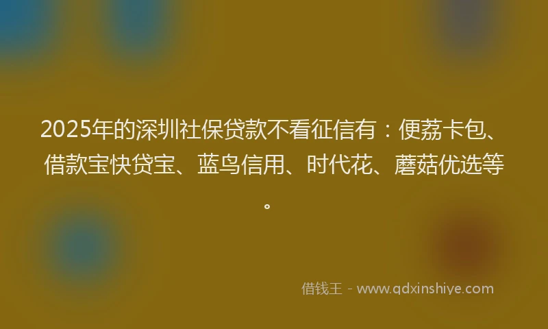 2025年的深圳社保贷款不看征信有：便荔卡包、借款宝快贷宝、蓝鸟信用、时代花、蘑菇优选等。